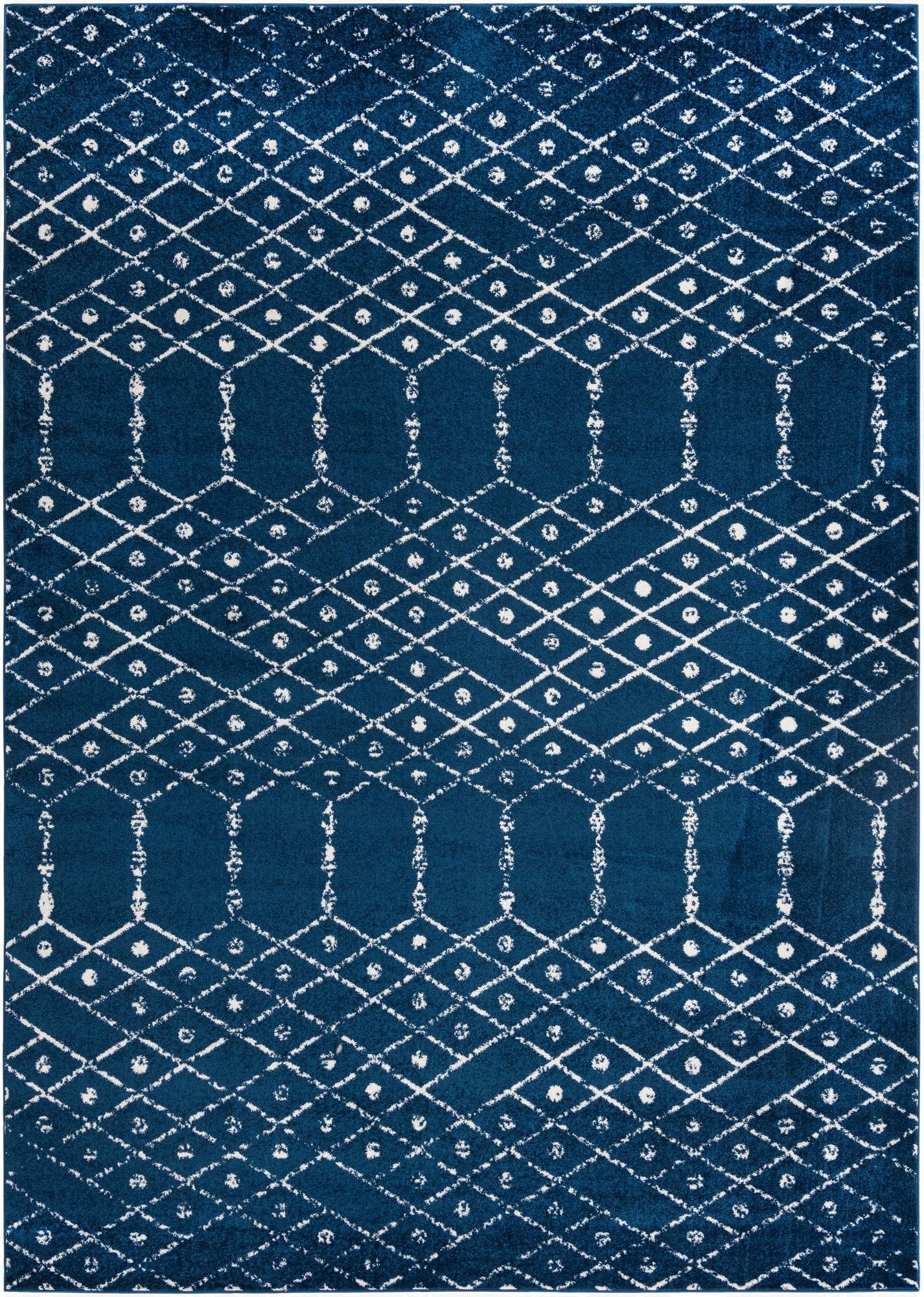 Primary image 10' x 14' Paxon Trellis Rug