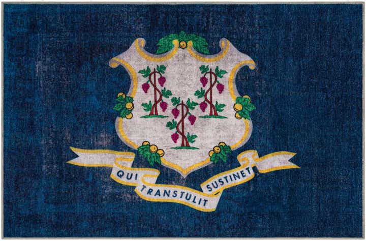 3' 3 x 5' 3 Connecticut The Flag Collection Rug