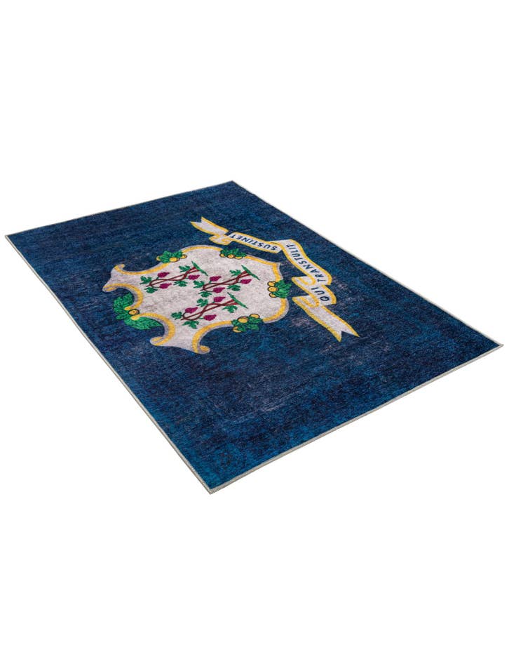 Detail image of 4' x 6' Connecticut The Flag Collection Rug