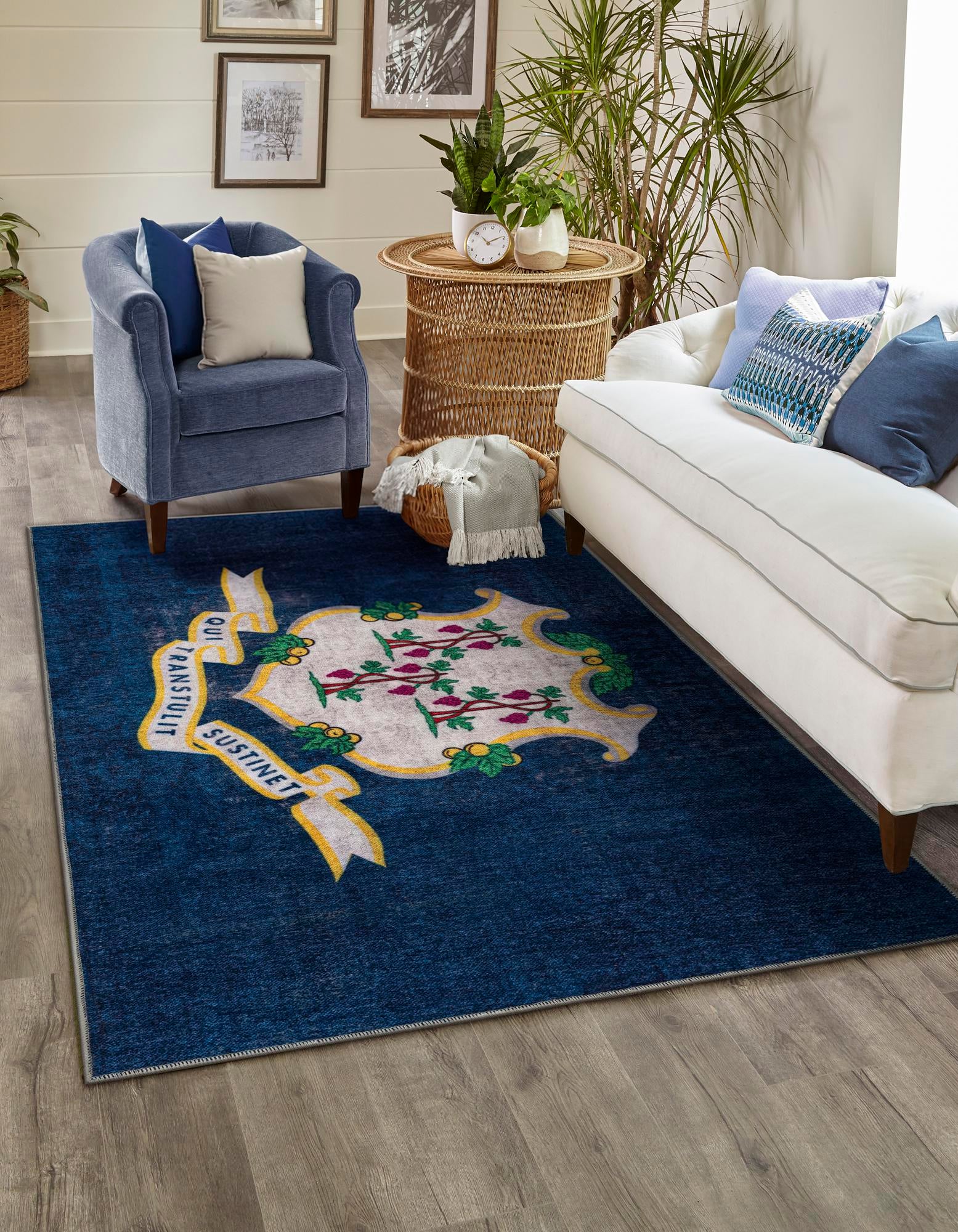 2' x 3' Connecticut The Flag Collection Rug
