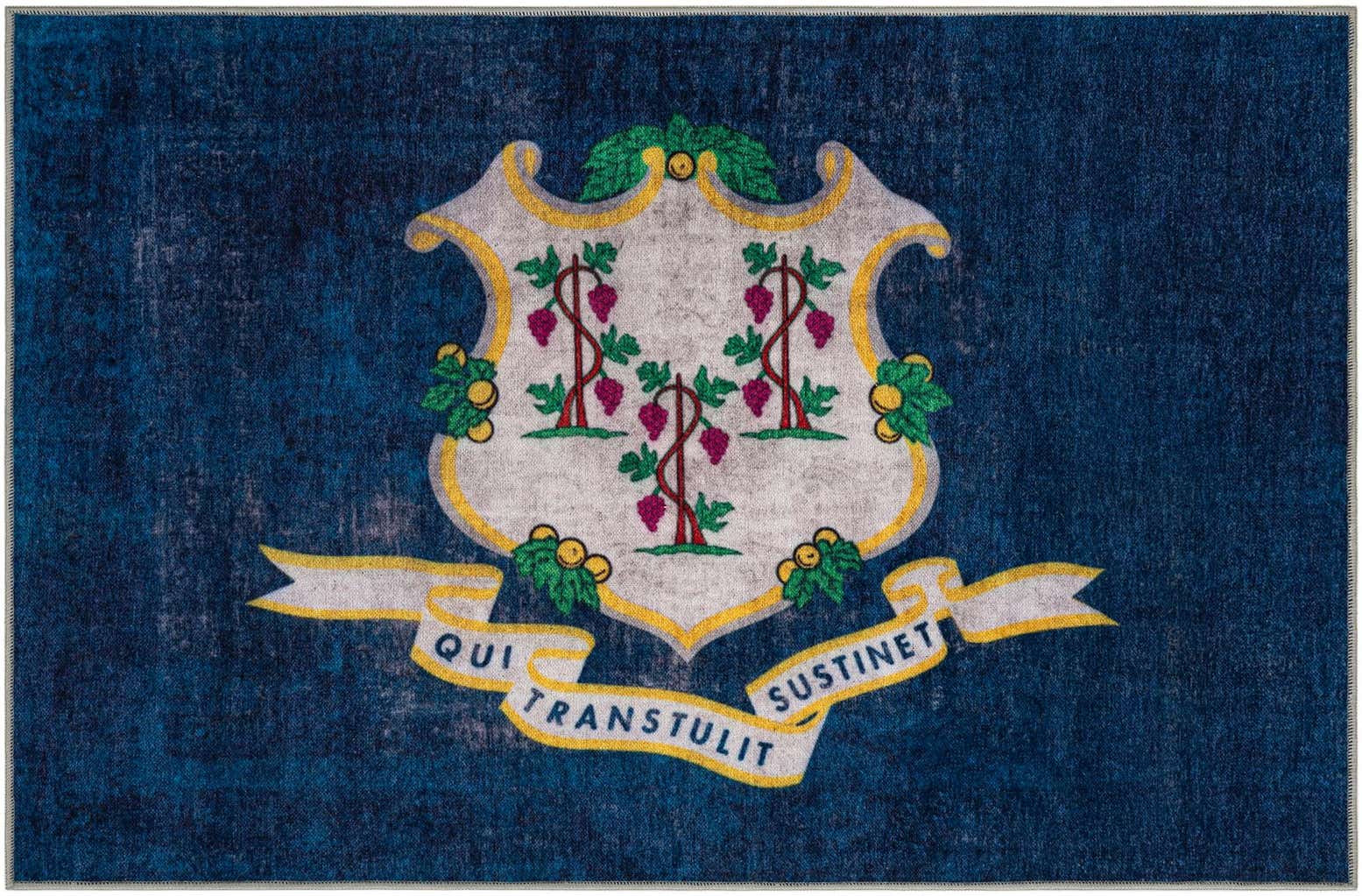 8' x 10' Connecticut The Flag Collection Rug