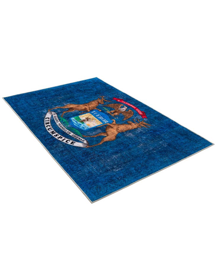 Detail image of 4' x 6' Michigan The Flag Collection Rug