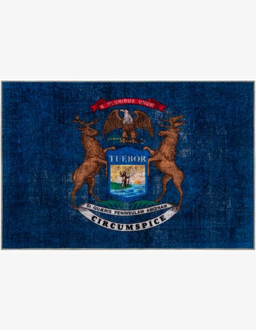 5' x 7' Michigan The Flag Collection Rug