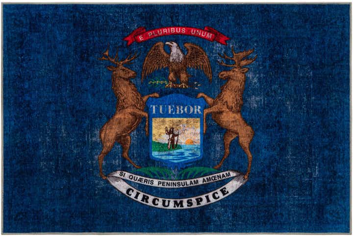 6' x 9' Michigan The Flag Collection Rug