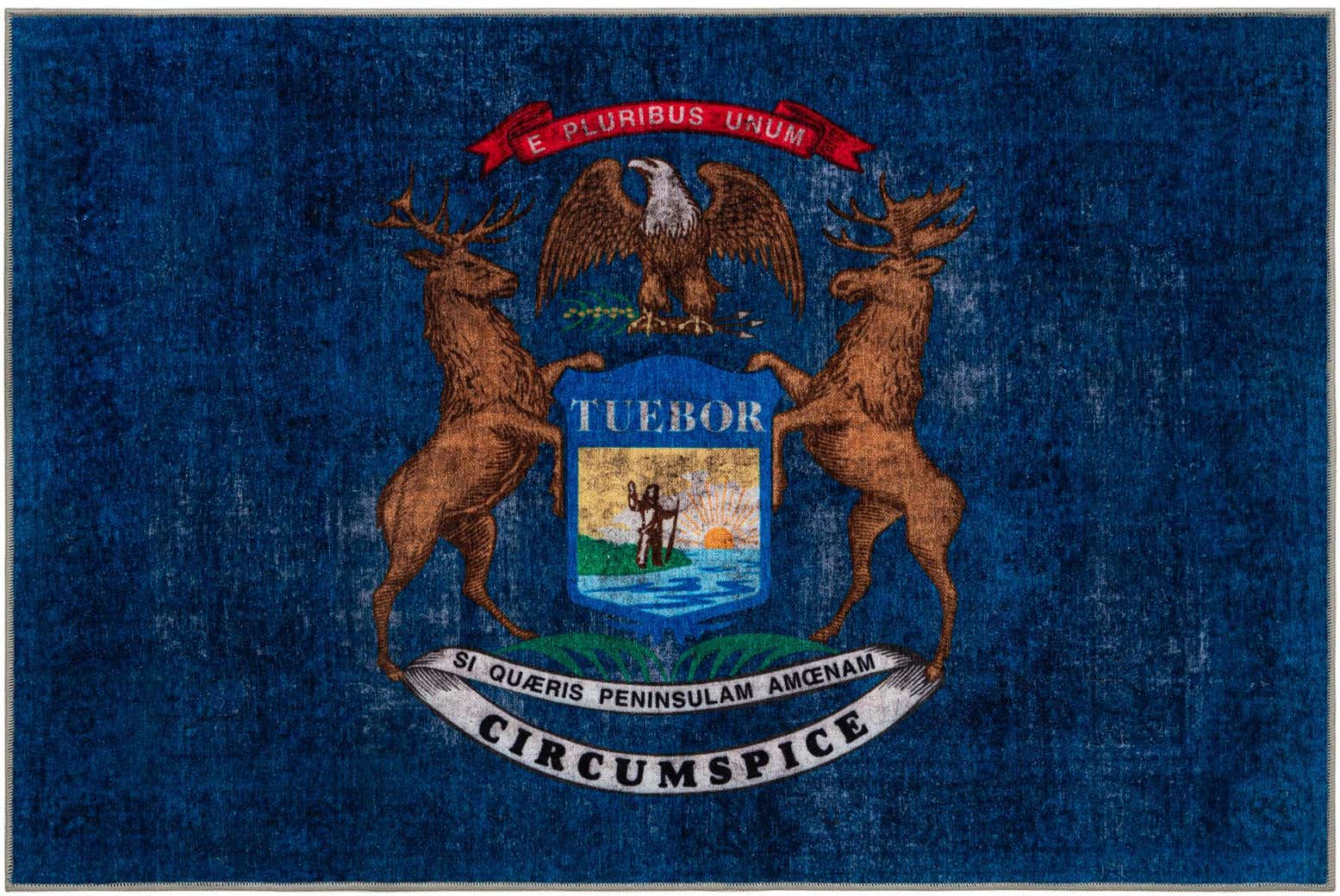 8' x 11' Michigan The Flag Collection Rug