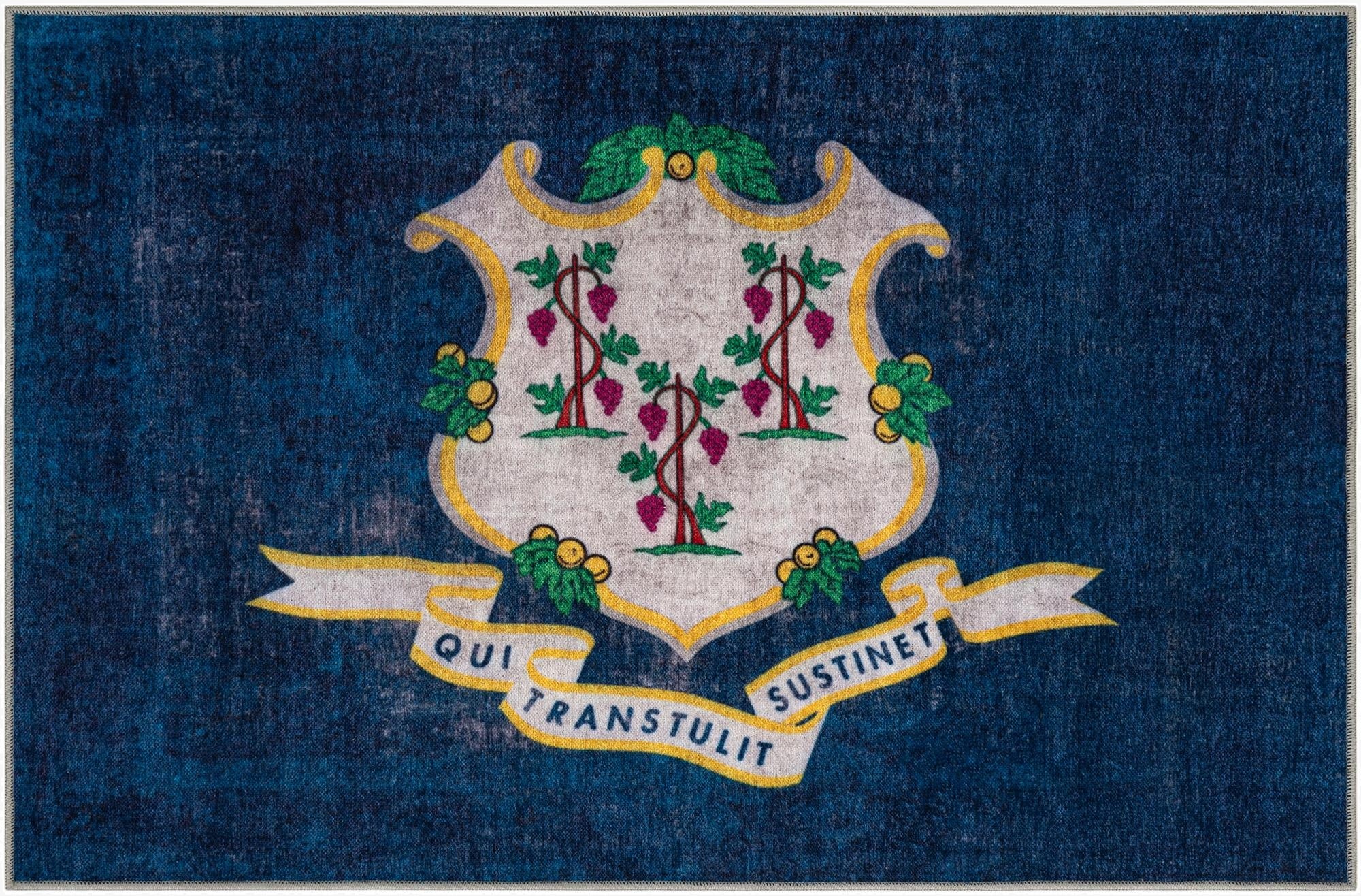 5' x 7' Connecticut The Flag Collection Rug
