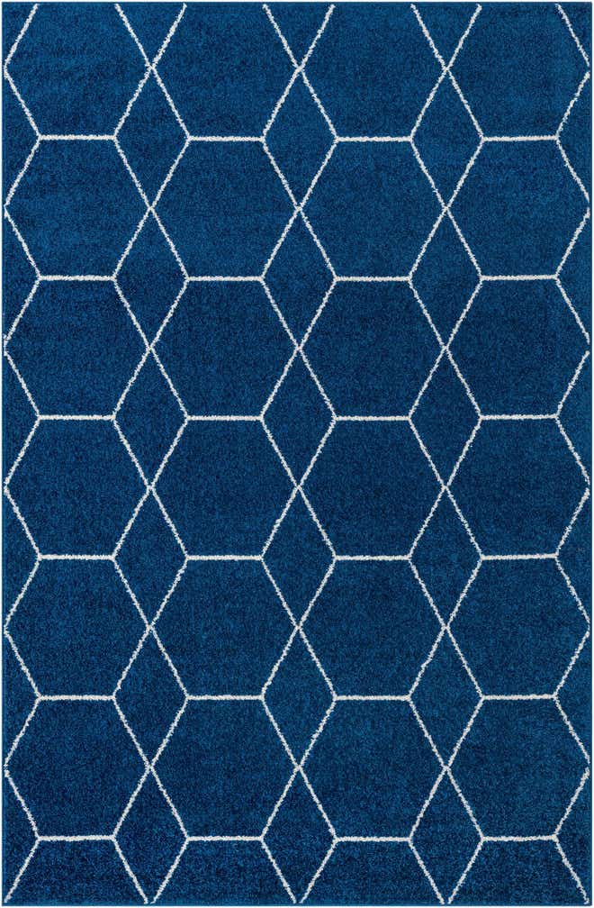 6' x 9' Trellis Frieze Rug
