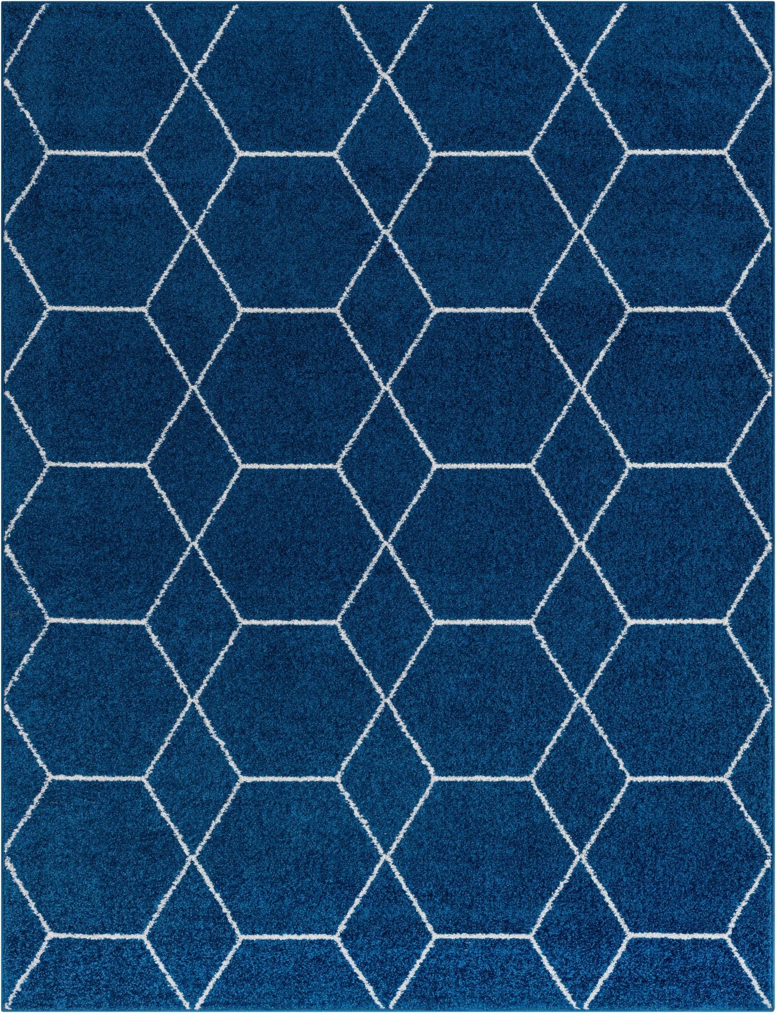 10' x 13' Trellis Frieze Rug