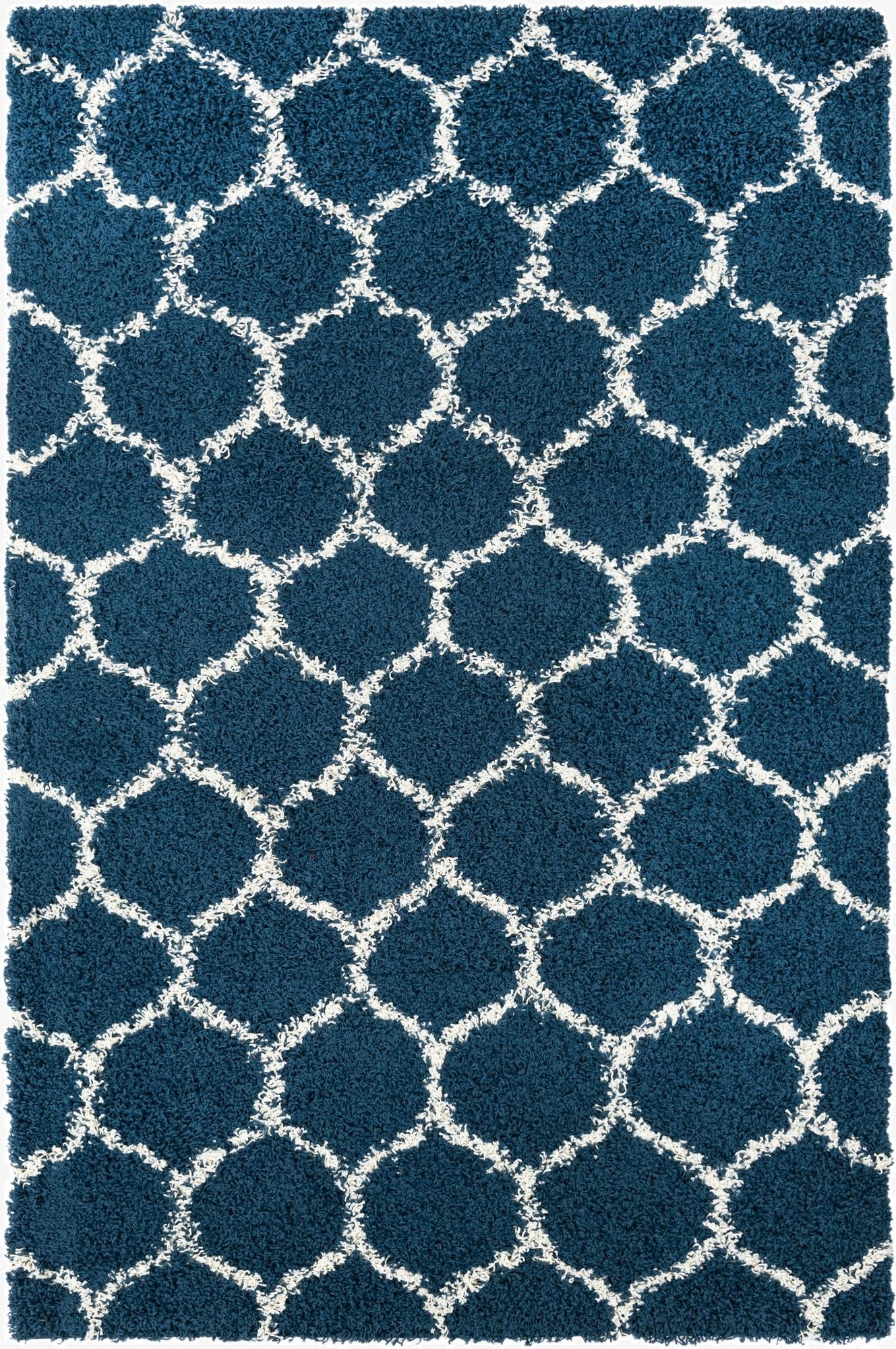 5' 3 x 8' Trellis Shag Rug