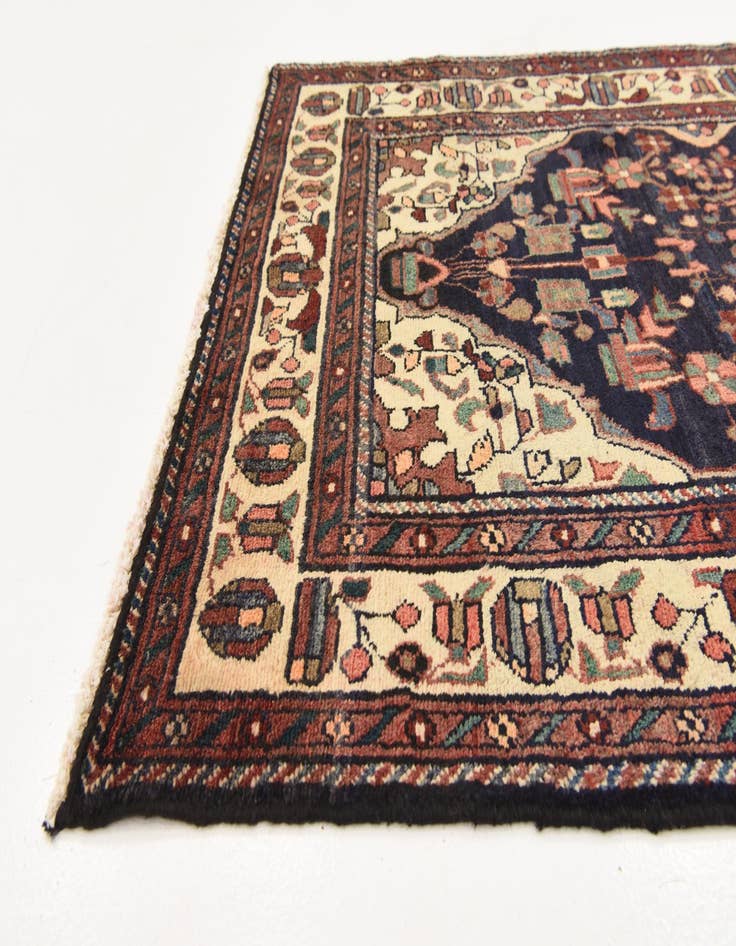 Detail image of 3' 8 x 9' 8  Hand Knotted Borchelu Persian Wool Runner Rug