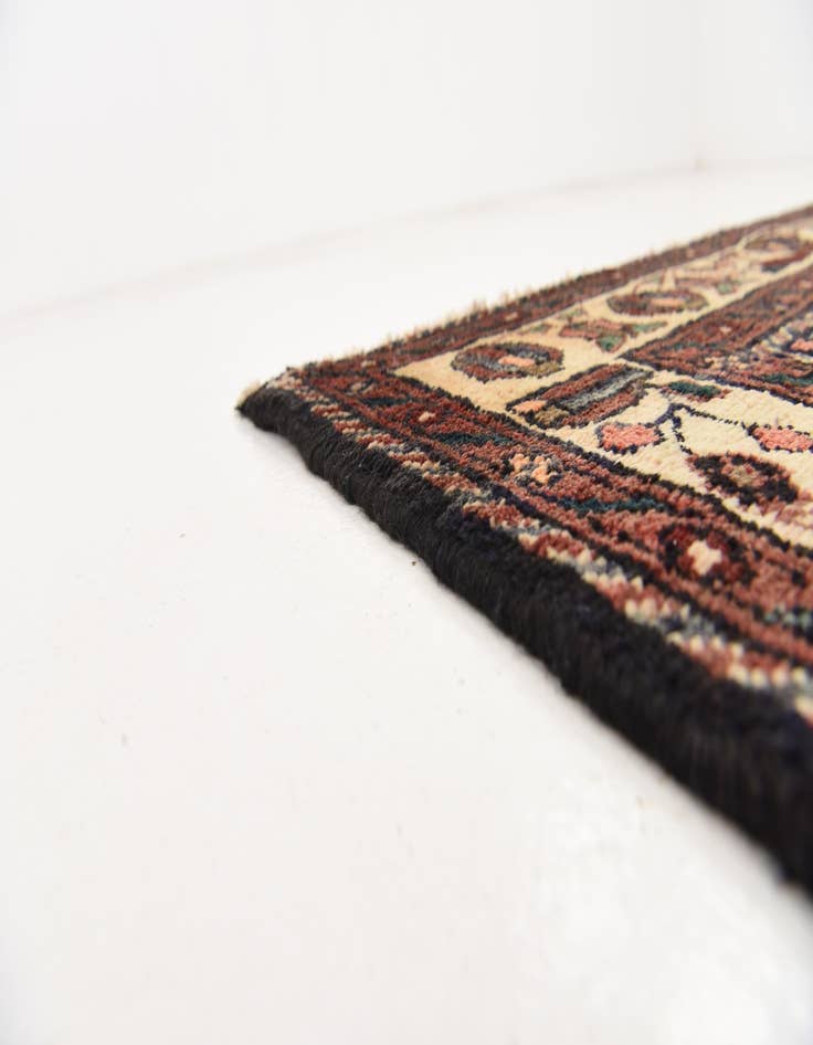 Detail image of 3' 8 x 9' 8  Hand Knotted Borchelu Persian Wool Runner Rug