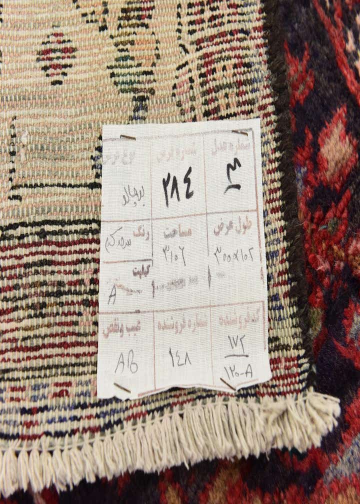 3' 7 x 10' Hand Knotted Borchelu Persian Wool Runner Rug