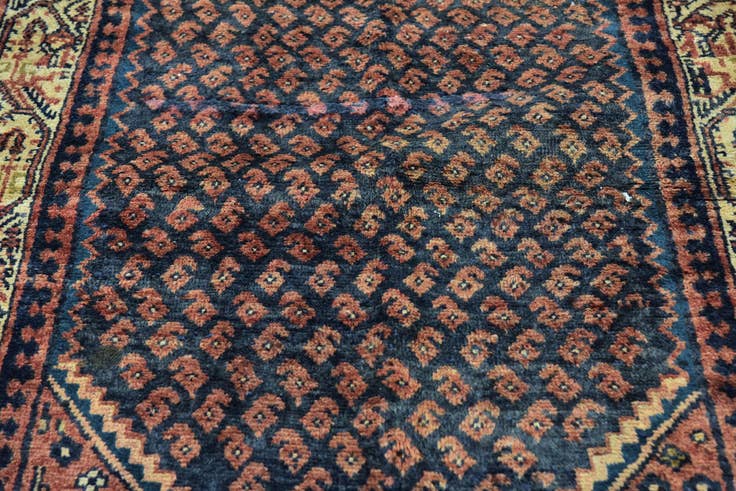 Detail image of 3' 5 x 10' 2 Hand Knotted Botemir Persian Wool Runner Rug