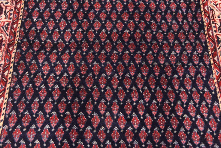 Detail image of 3' 7 x 10' 9 Hand Knotted Botemir Persian Wool Runner Rug