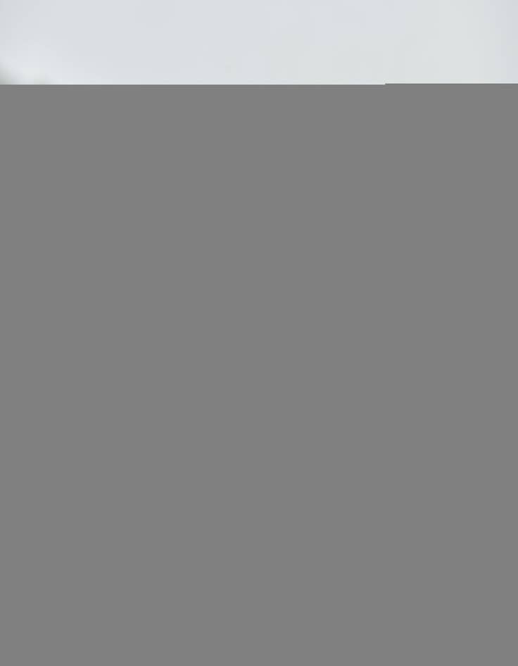 Detail image of 3' 5 x 7' 10 Hand Knotted Farahan Persian Wool Runner Rug