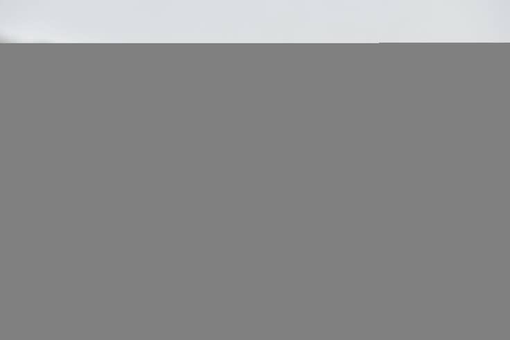 Detail image of 3' 5 x 7' 10 Hand Knotted Farahan Persian Wool Runner Rug