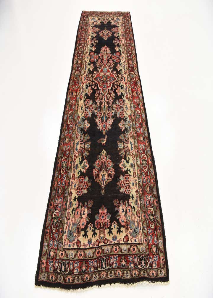 3' 10 x 10' 4 Hand Knotted Liliyan Persian Wool Runner Rug