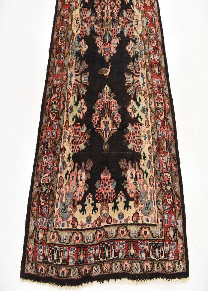 3' 10 x 10' 4 Hand Knotted Liliyan Persian Wool Runner Rug