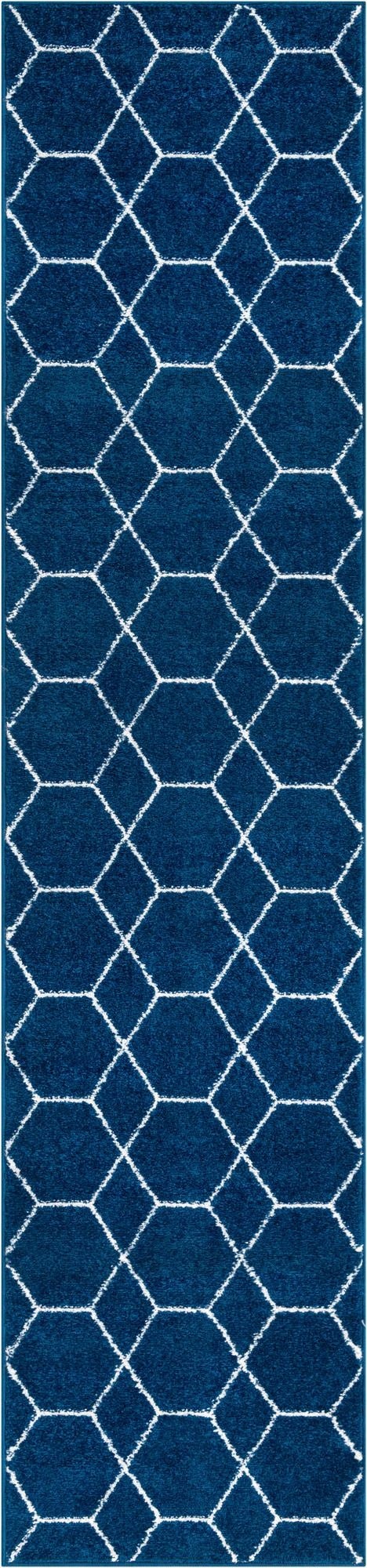 Primary image 2' x 9' Trellis Frieze Runner Rug