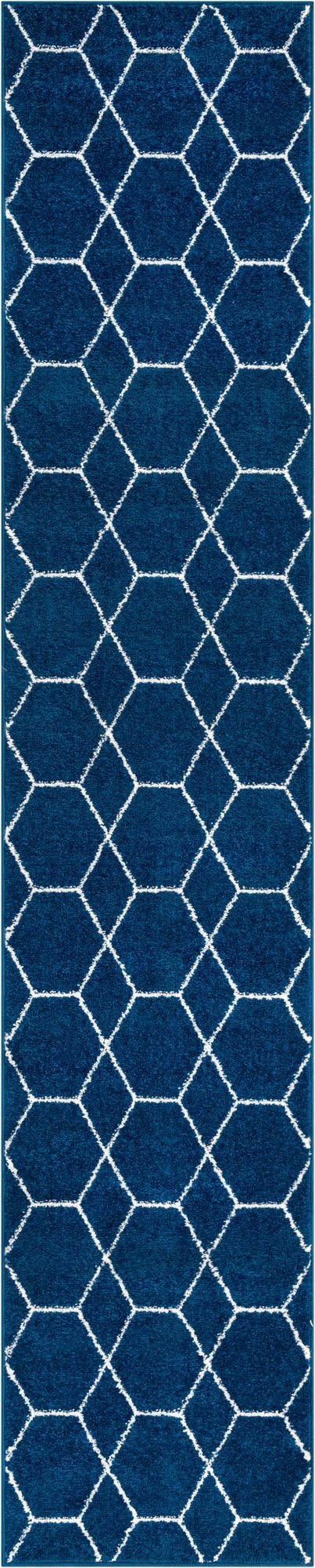 2' x 10' Trellis Frieze Runner Rug