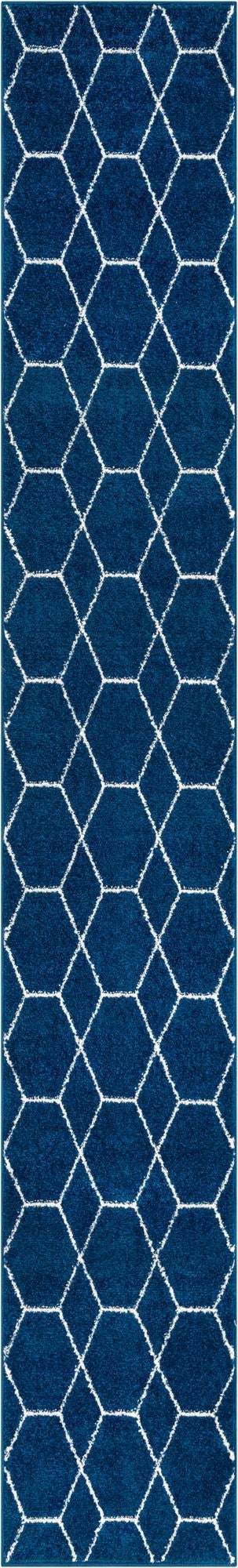 Primary image 2' x 13' Trellis Frieze Runner Rug
