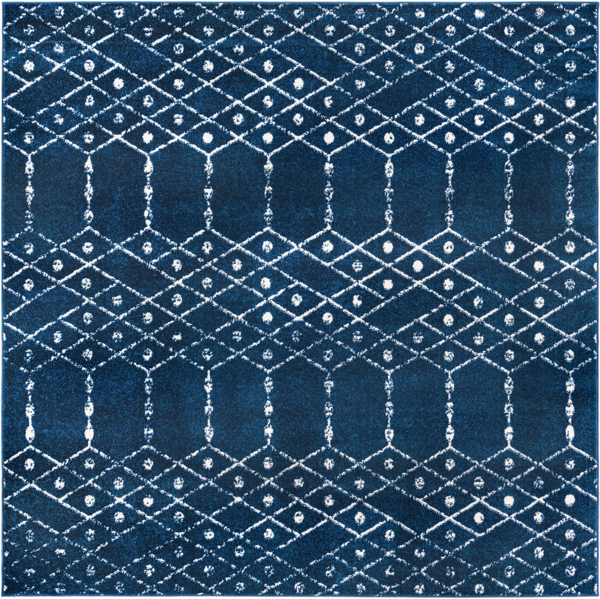 7' 10 x 7' 10 Paxon Trellis Square Rug
