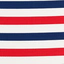 Rug Navy Bue and Red Swatch link