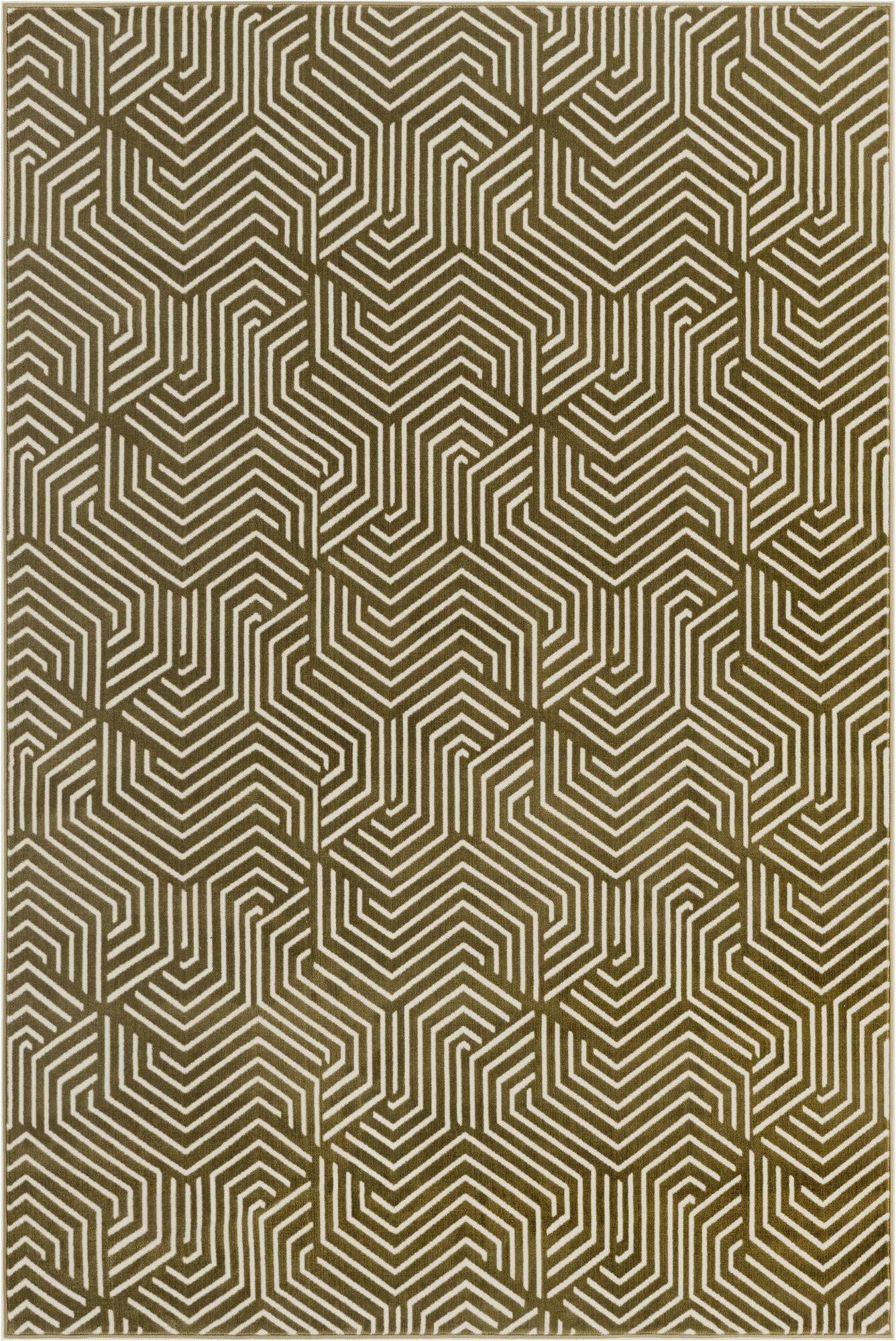 5' 3 x 8' Aakaar Rug