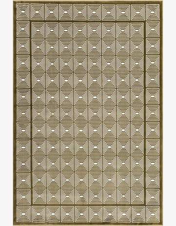4' x 6' Aakaar Rug