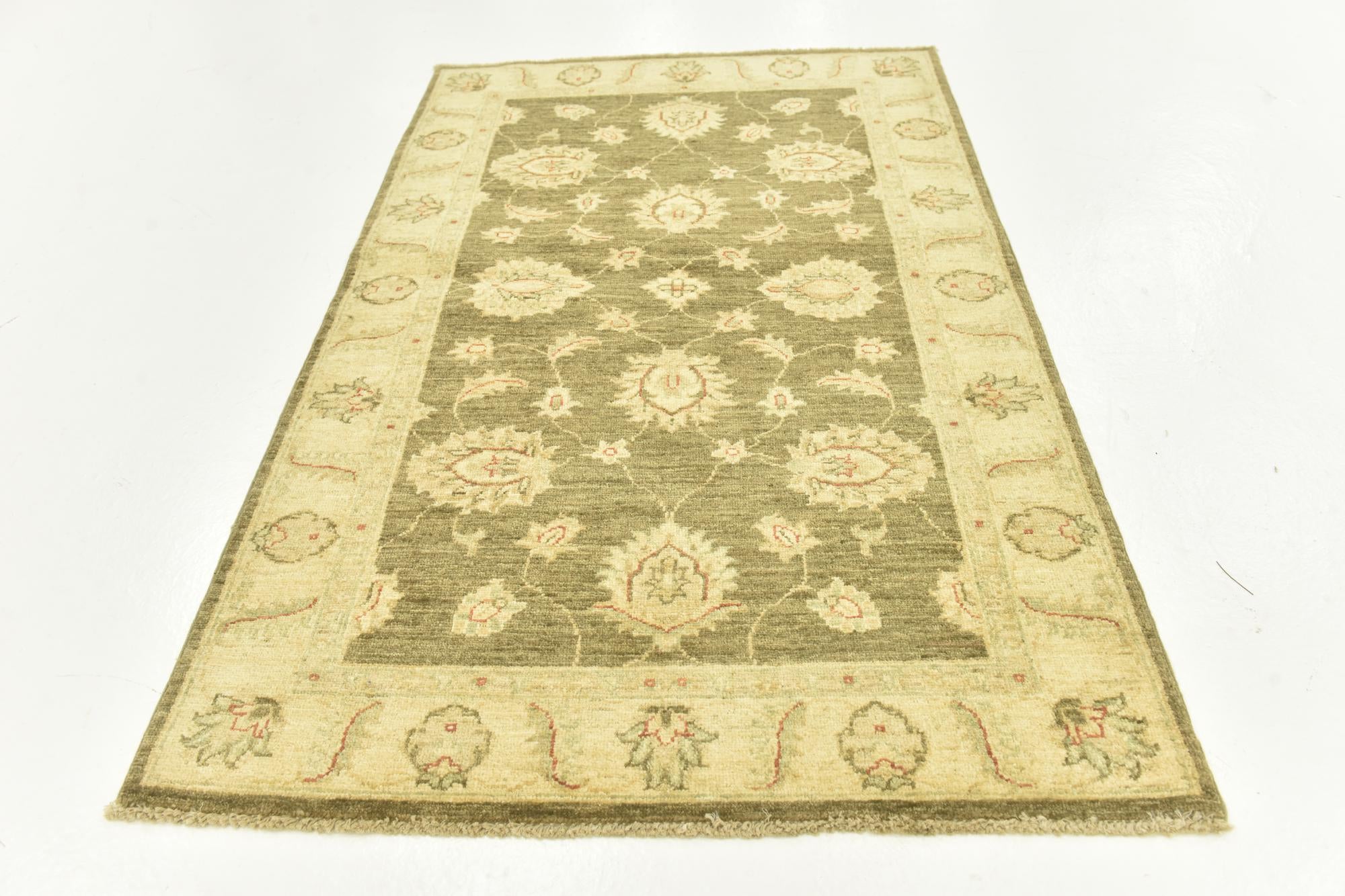 3' x 4' 10 Hand Knotted Peshawar Ziegler Rug