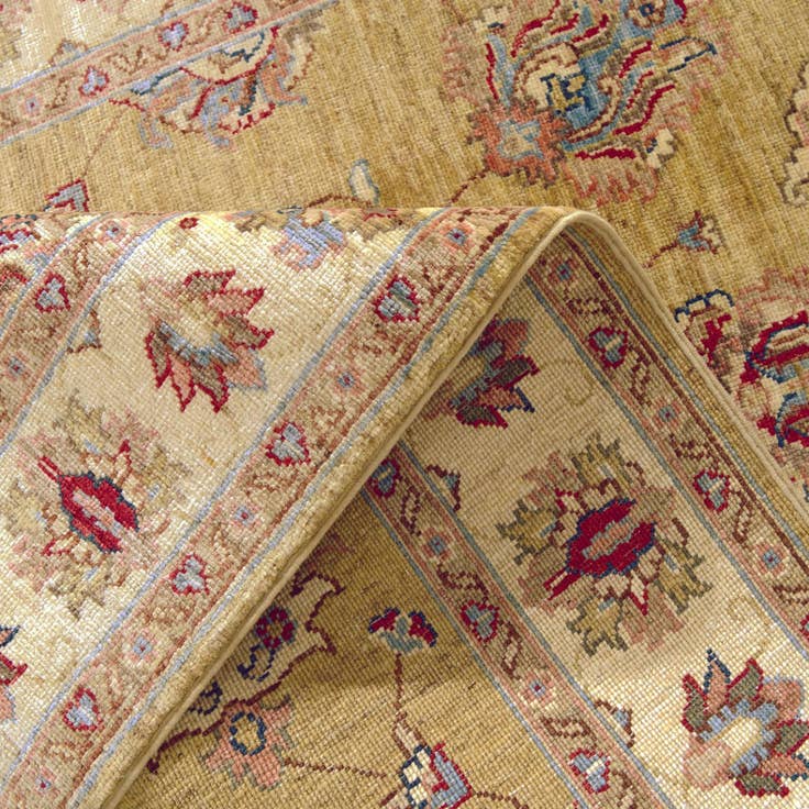 Detail image of 3' 10 x 6' 8 Hand Knotted Ariana Ziegler Rug