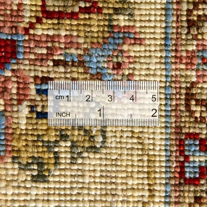 3' 10 x 6' 8 Hand Knotted Ariana Ziegler Rug