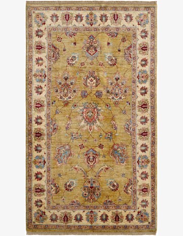 3' 10 x 6' 8 Hand Knotted Ariana Ziegler Rug