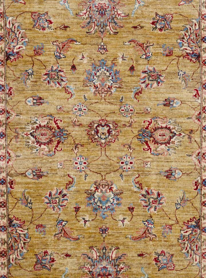 4' 2 x 6' Hand Knotted Ariana Ziegler Rug