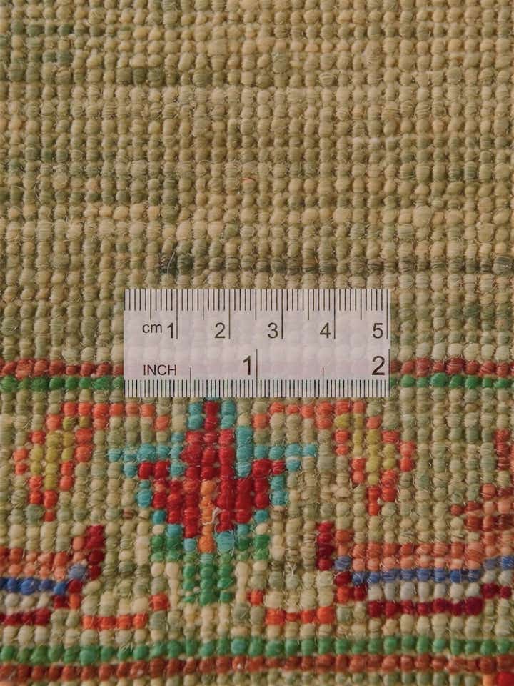 5' 1 x 6' 8 Hand Knotted Ariana Ziegler Rug
