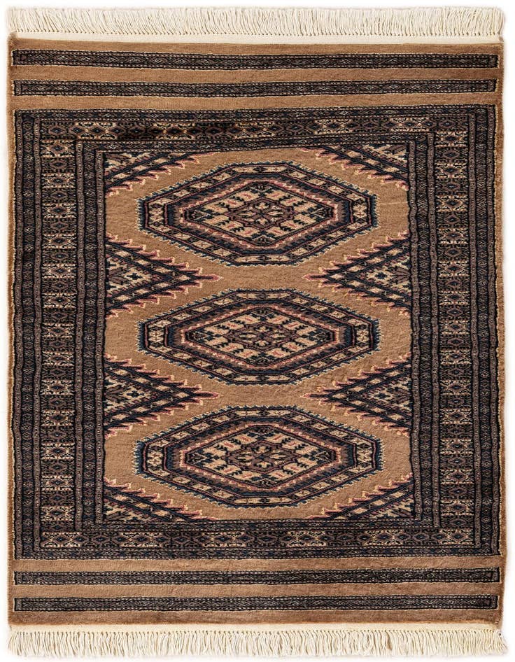 Detail image of 2' 6 x 4' 2 Hand Knotted Bokhara Rug