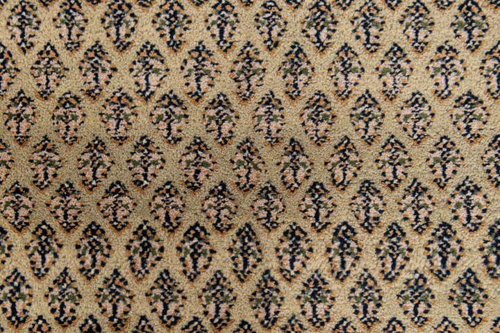 6' 7 x 9' 9 Hand Knotted Mir Wool Rug