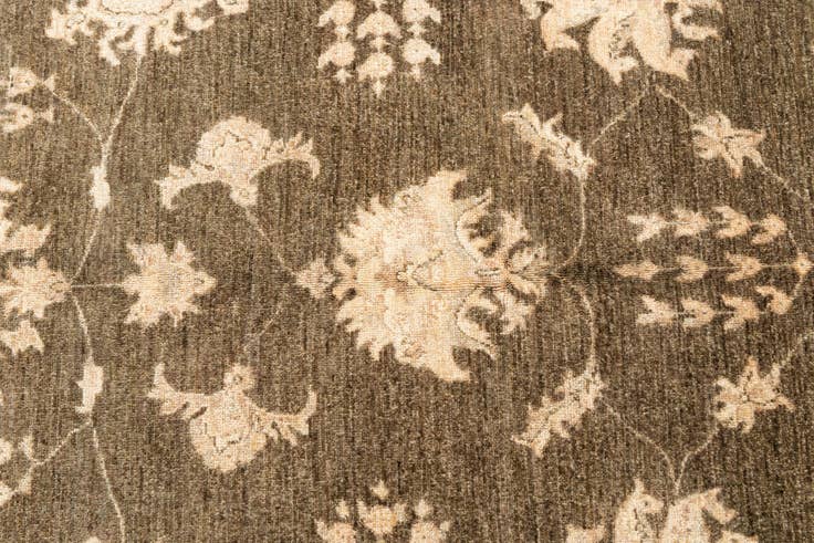 Detail image of 5' 5 x 8' 3 Hand Knotted Peshawar Ziegler Oriental Rug