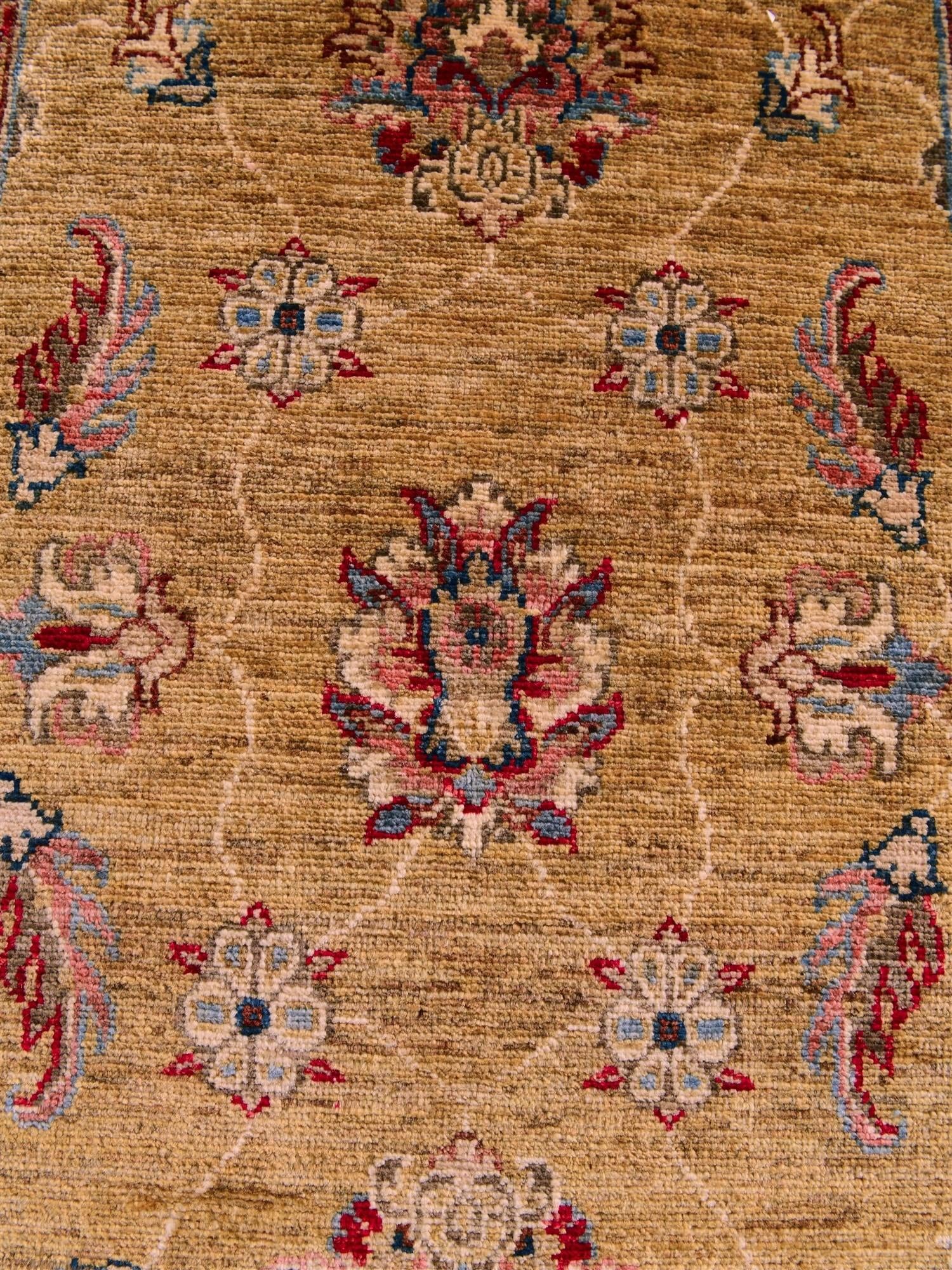 2' 7 x 10' 3 Hand Knotted Ariana Ziegler Runner Rug