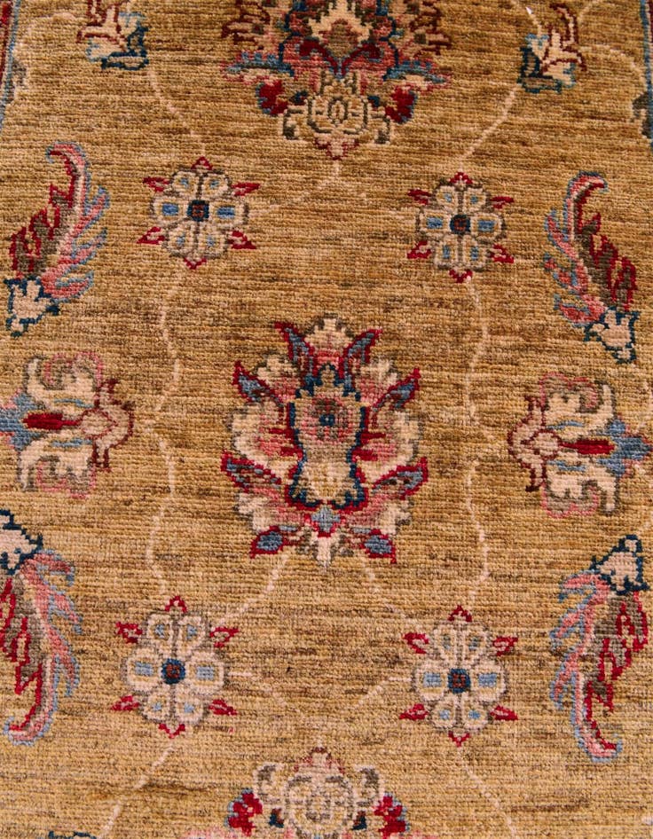 Detail image of 2' 7 x 10' 3 Hand Knotted Ariana Ziegler Runner Rug