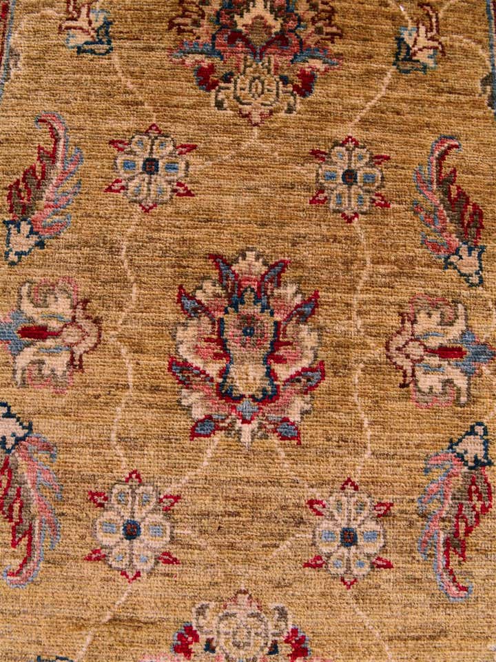 2' 7 x 10' 3 Hand Knotted Ariana Ziegler Runner Rug