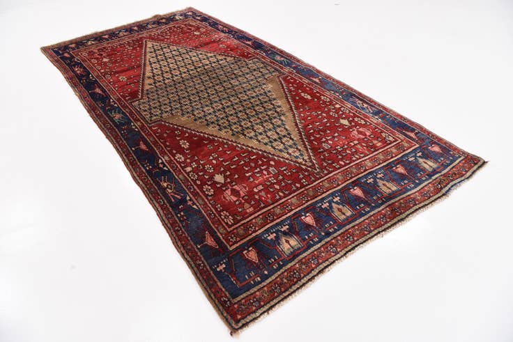 Detail image of 5' x 9' 9 Hand Knotted Koliaei Persian Wool Runner Rug