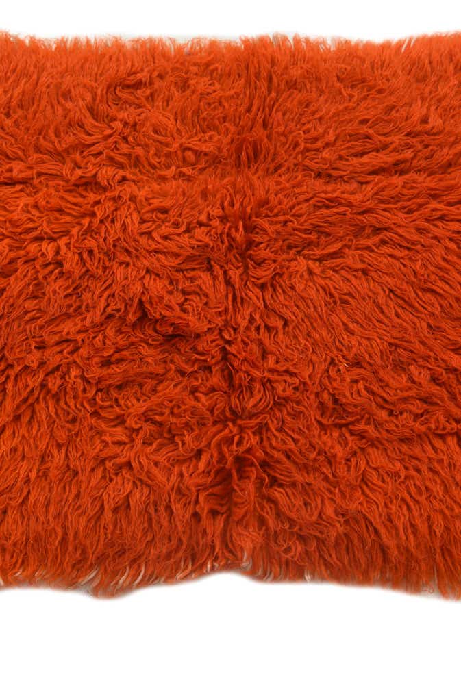 2' 3 x 4' 4 Hand Knotted Moroccan Wool Runner Rug