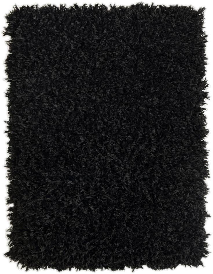 Detail image of 2' x 3' Infinity Shag Rug