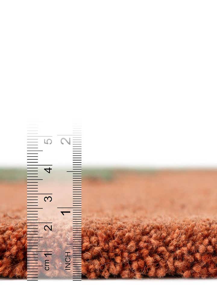 4' 1 x 6' 1 Handtufted Wool Rug