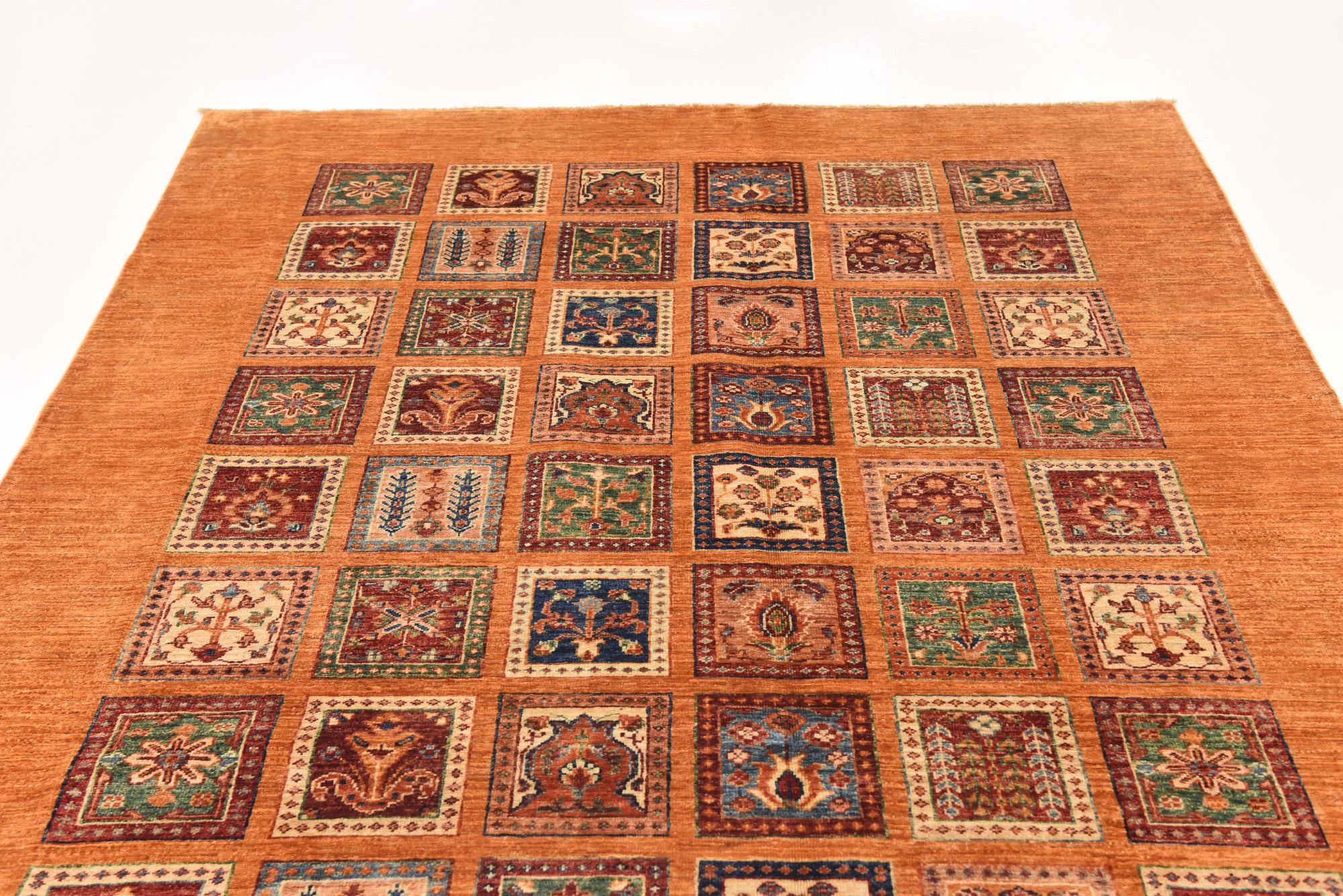5' 10 x 7' 7 Hand Knotted Ariana Ziegler Rug