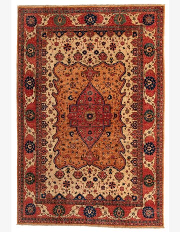 6' 7 x 9' 8 Hand Knotted Ariana Ziegler Oriental Rug