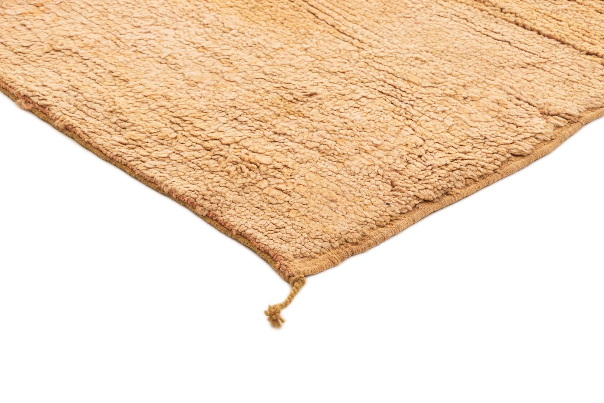 5' 9 x 8' 1 Berber Rug