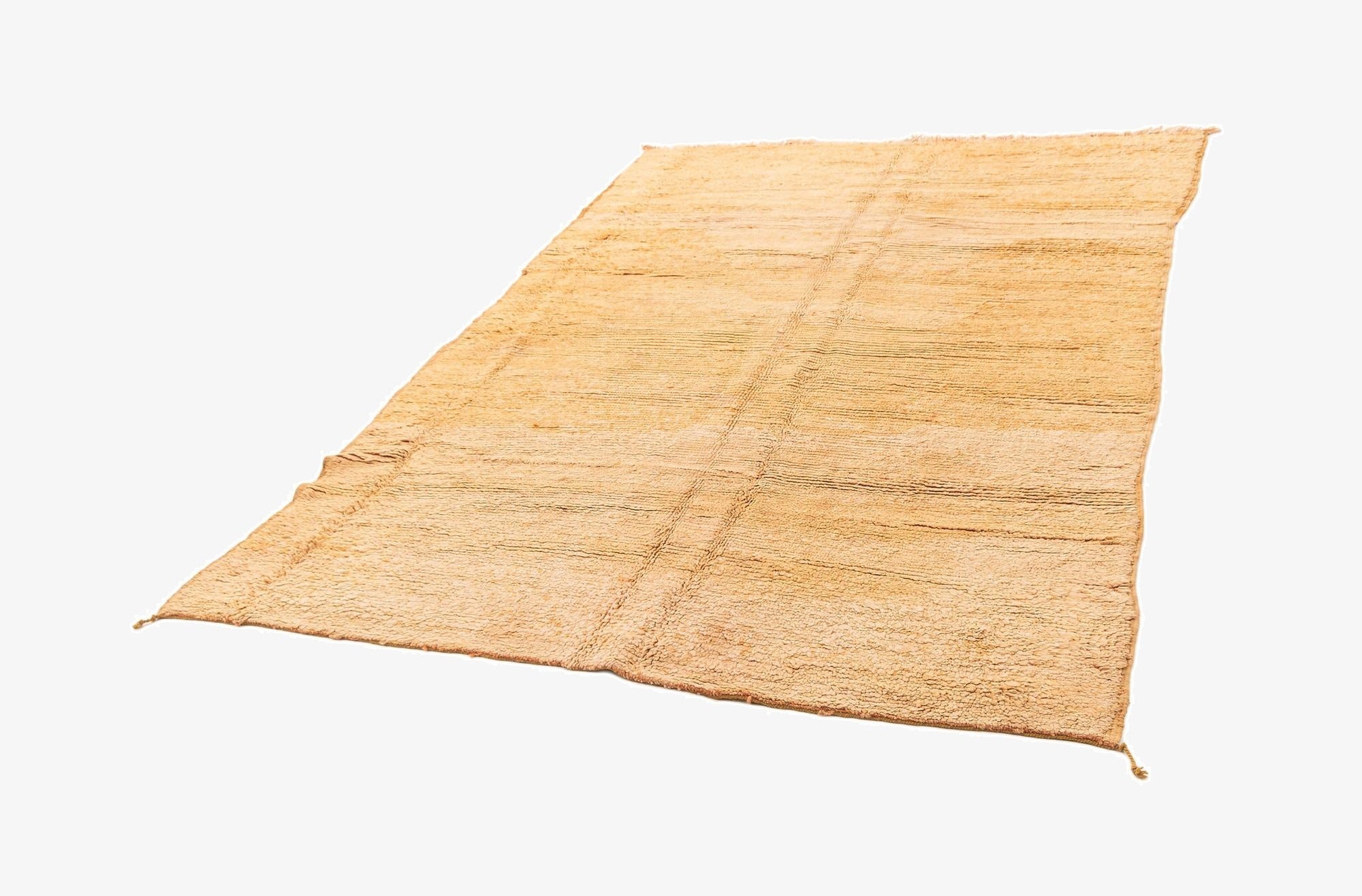 5' 9 x 8' 1 Berber Rug