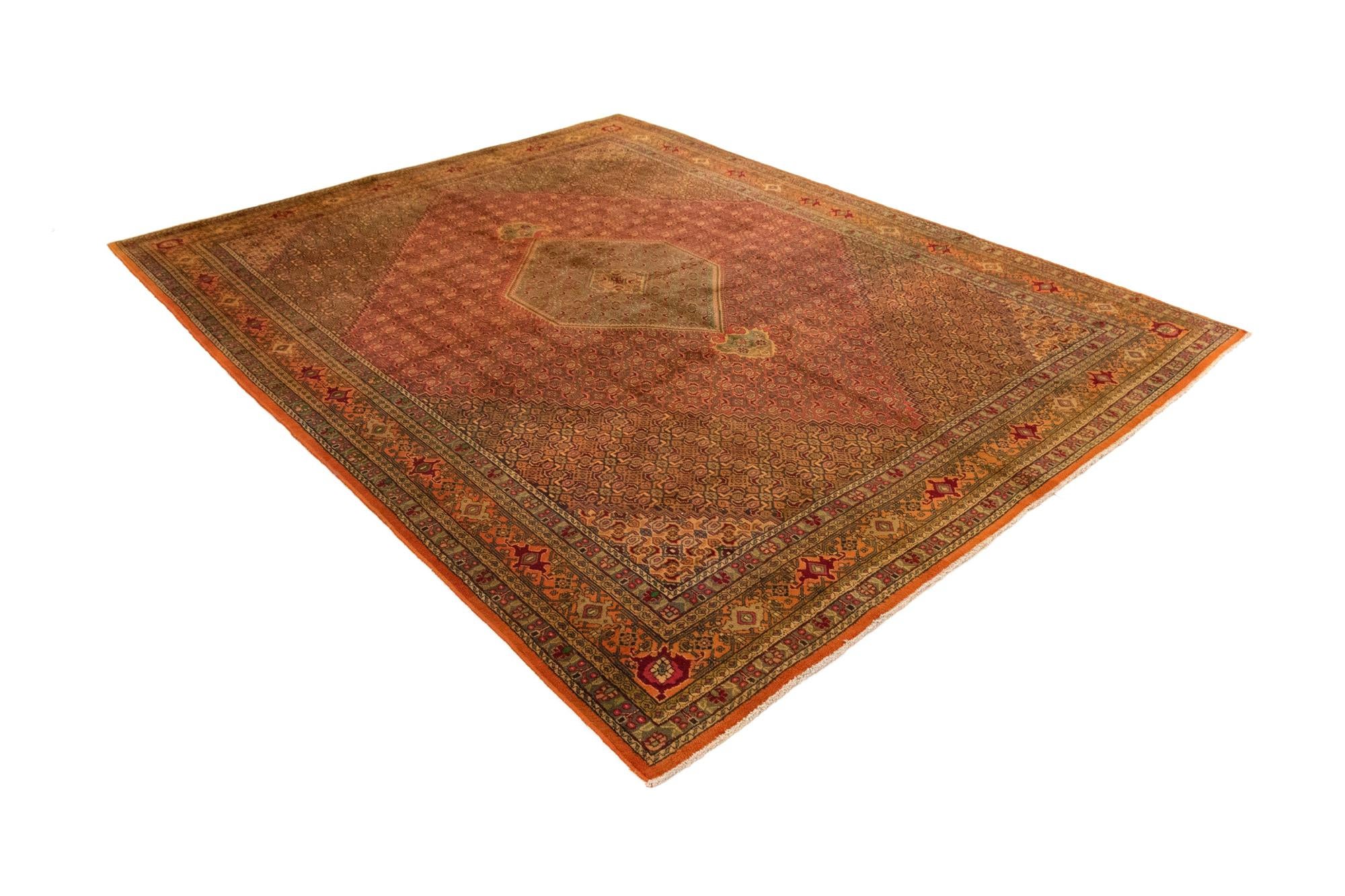 9' 7 x 12' 3 Hand Knotted Bidjar Persian Wool Rug